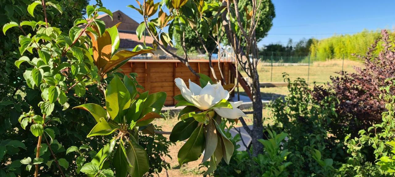 شقة Mas Gabelys Superbe Vue Sainte Victoire Jardin Terrasse Et Piscine تخي المظهر الخارجي الصورة